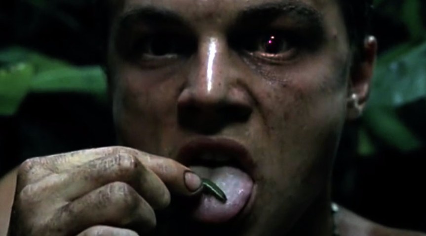 Defending THE BEACH&nbsp;(2000)